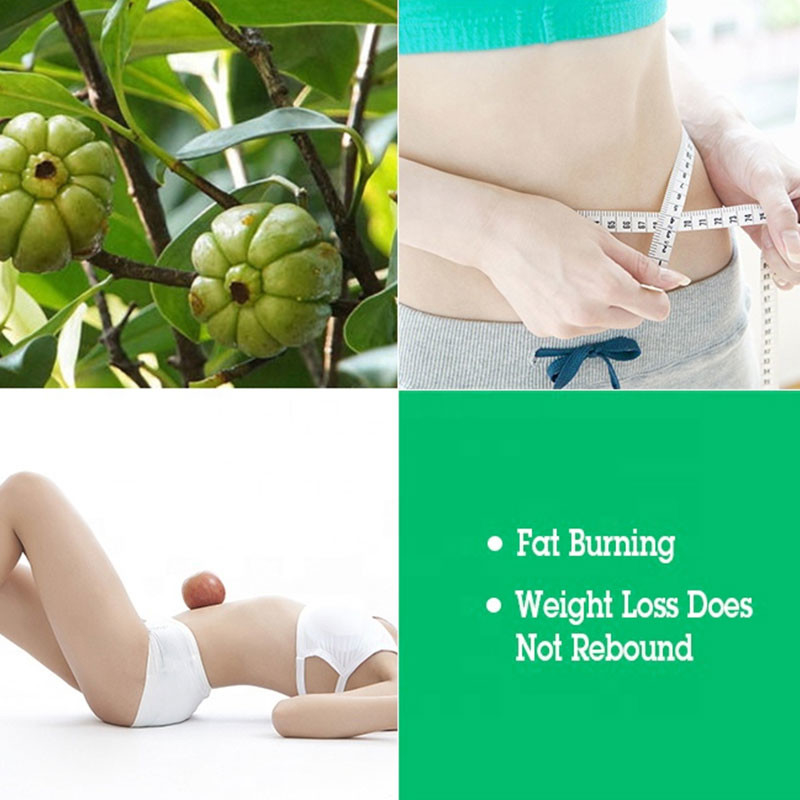 ODM Ekstrak Teh Hijau Herbal Slim Capsule Untuk Pelangsingan Tubuh Mendukung Detox