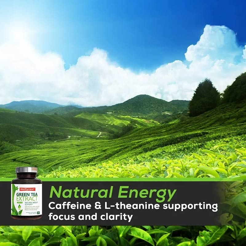 Private Label Tablet Pelangsing Botol Kapsul Ramping Herbal Tetap Di Tempat Kering Yang Sejuk HACCP
