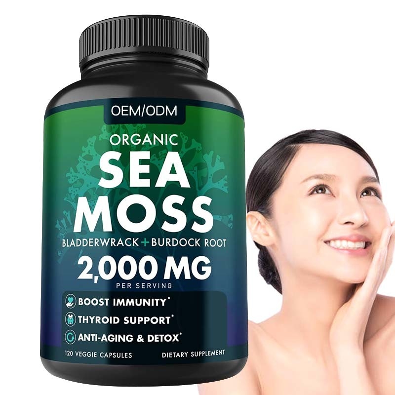 Kapsul Lumut Laut Organik Tanpa Rasa Wildcrafted Non GMO Sea Moss Mentah 60 Pil Seamoss Bebas Gluten