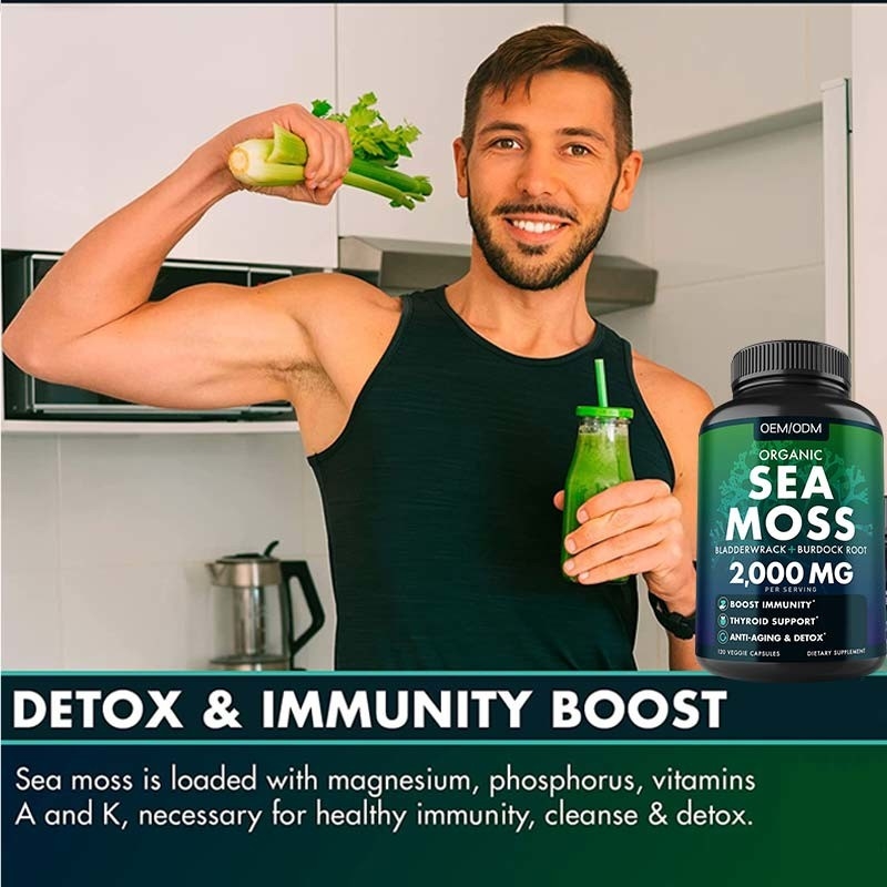 Kapsul Lumut Laut Organik Tanpa Rasa Wildcrafted Non GMO Sea Moss Mentah 60 Pil Seamoss Bebas Gluten