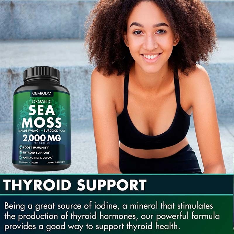 Kapsul Lumut Laut Organik Tanpa Rasa Wildcrafted Non GMO Sea Moss Mentah 60 Pil Seamoss Bebas Gluten