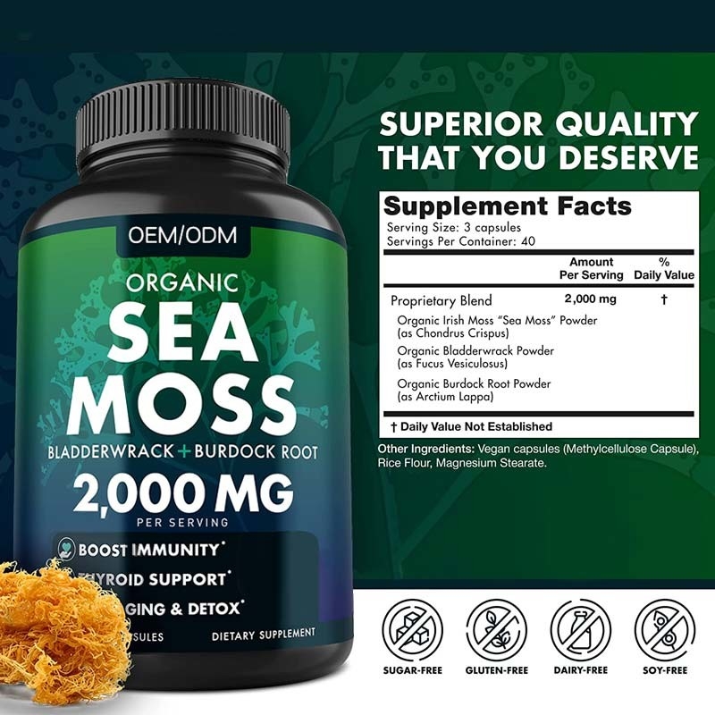 Kapsul Lumut Laut Organik Tanpa Rasa Wildcrafted Non GMO Sea Moss Mentah 60 Pil Seamoss Bebas Gluten
