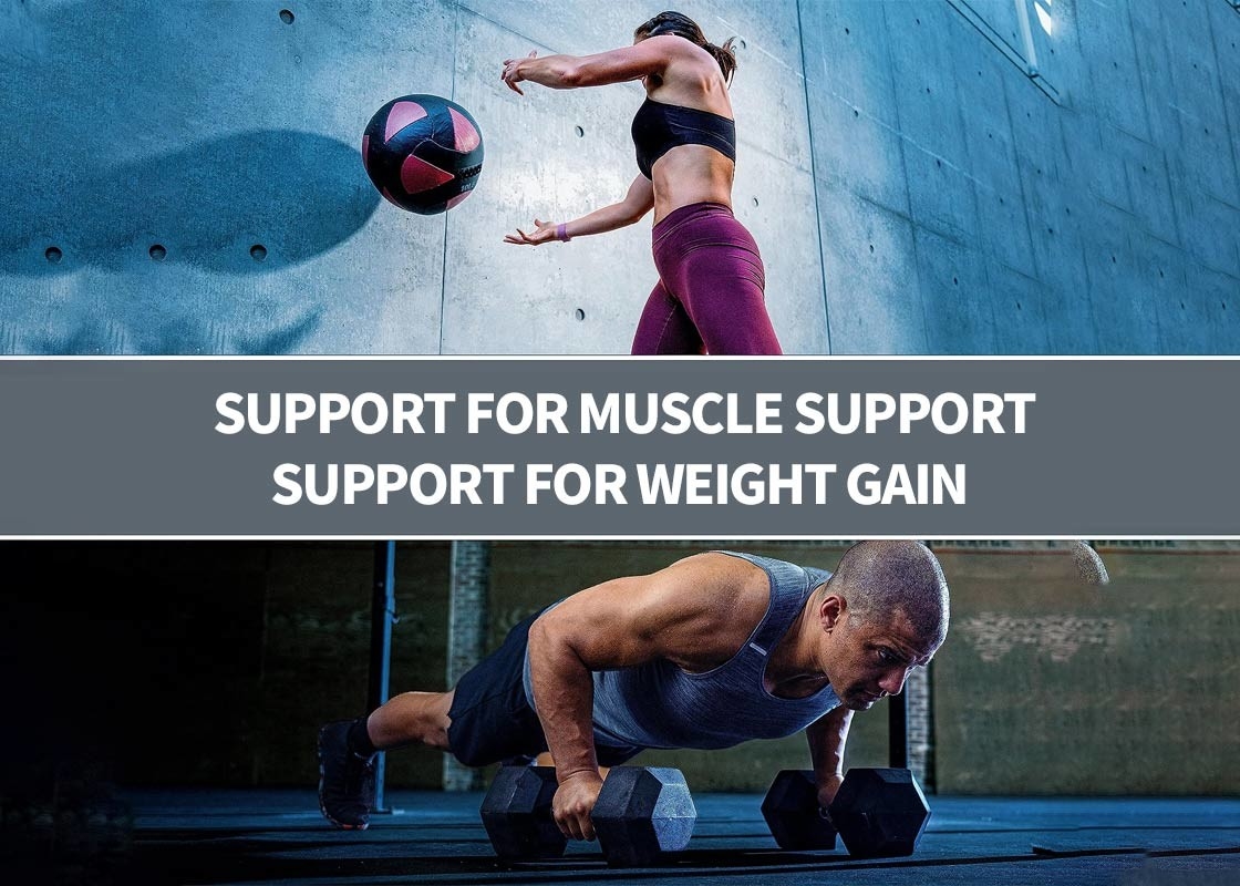 Super Mass Gainer Protein Powder Untuk Dukungan Otot Protein Powder Suplemen Penguat Kekebalan