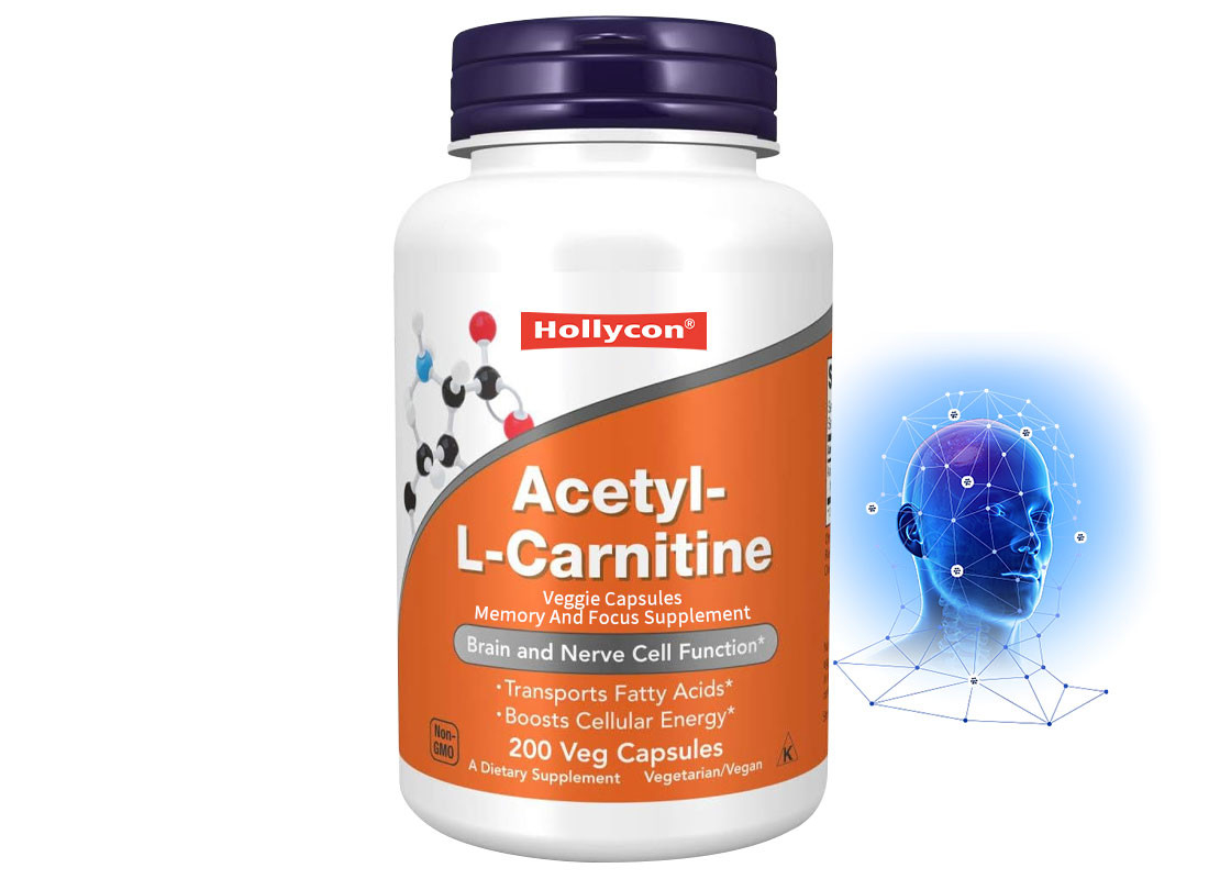OEM L-Carnitine Capsule Dukungan Untuk Otak Dan Fungsi Sel Saraf Veggie Capsules Dukungan Untuk Memori Dan Fokus