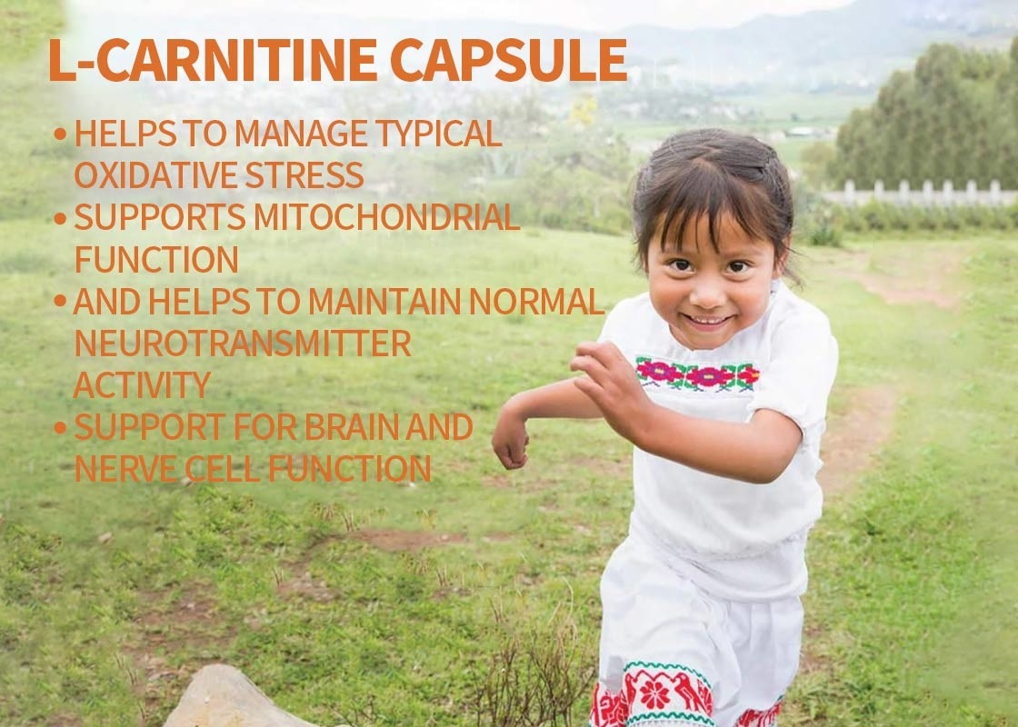 OEM L-Carnitine Capsule Dukungan Untuk Otak Dan Fungsi Sel Saraf Veggie Capsules Dukungan Untuk Memori Dan Fokus