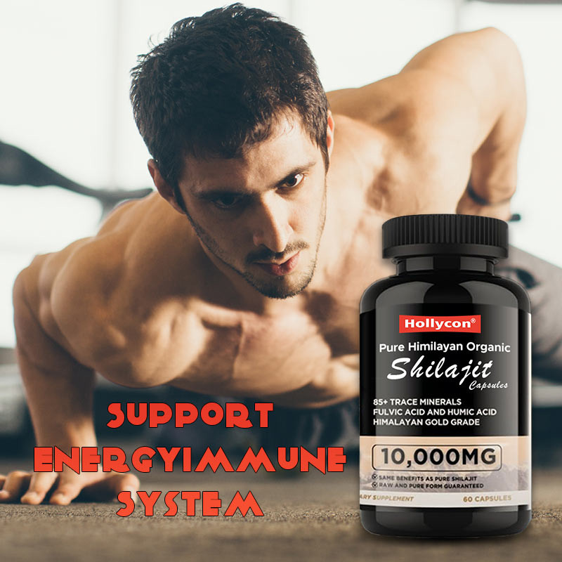 OEM Himalaya Murni Shilajit Organik Kapsul Antioksidan Dukungan Energi Penghilang Stres Kekebalan