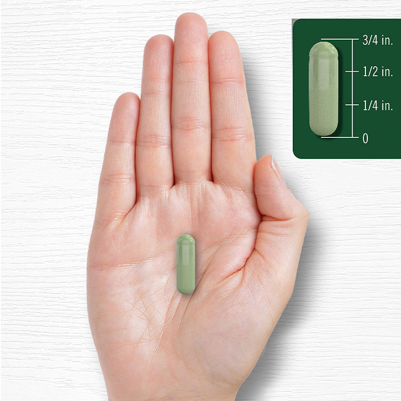Kapsul Bubuk Moringa Untuk Dukungan Sendi Suplemen Bubuk Moringa Untuk Tidur Baik