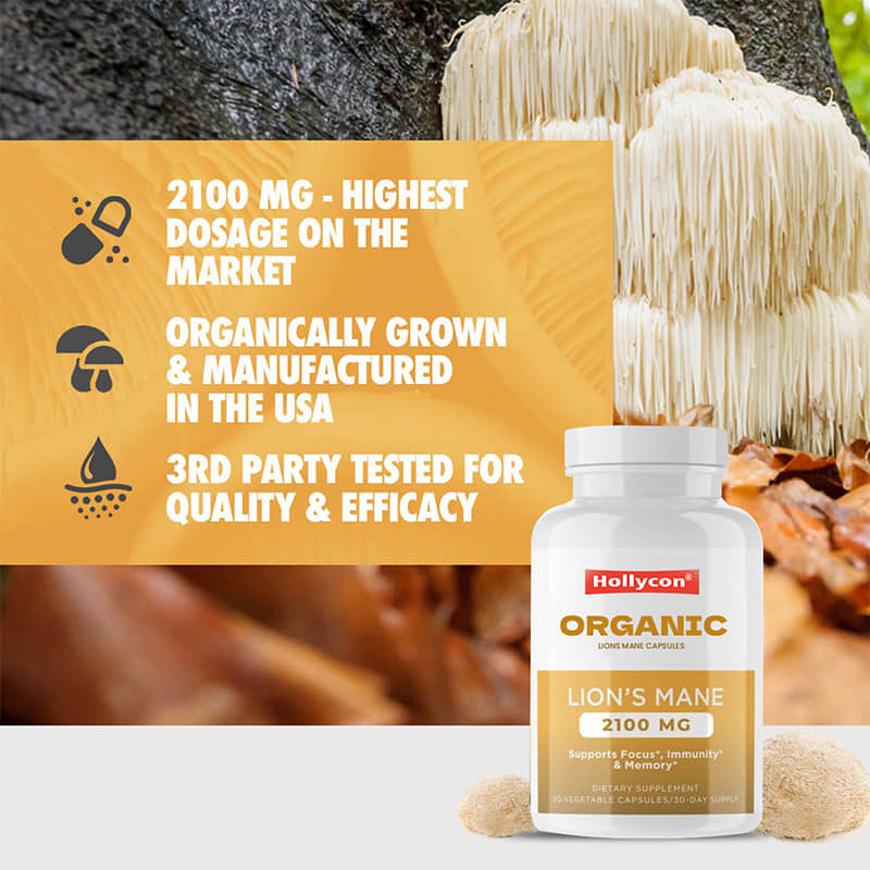 Customized Organic Lions Mane Capsules Mempromosikan Fokus Kejernihan Mental Kognisi Meningkatkan Kesehatan Usus