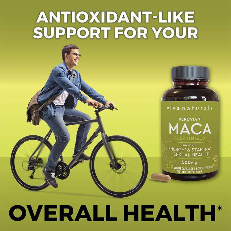 OEM Maca Root Kapsul Untuk Pria Organik Maca Root Untuk Dukungan Mood Maca Kapsul