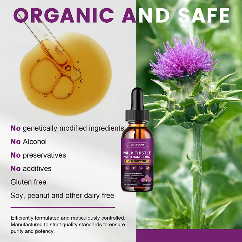 OEM Minyak Thistle Organic Minyak Thistle Biji Untuk Dukungan Imun Minyak Thistle
