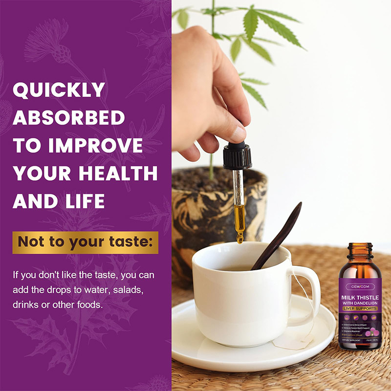 OEM Minyak Thistle Organic Minyak Thistle Biji Untuk Dukungan Imun Minyak Thistle