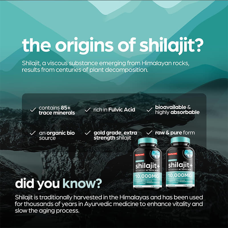 OEM Pure Himalayan Shilajit 10000mg Kapsul Shilajit Organik Untuk Dukungan Kekebalan