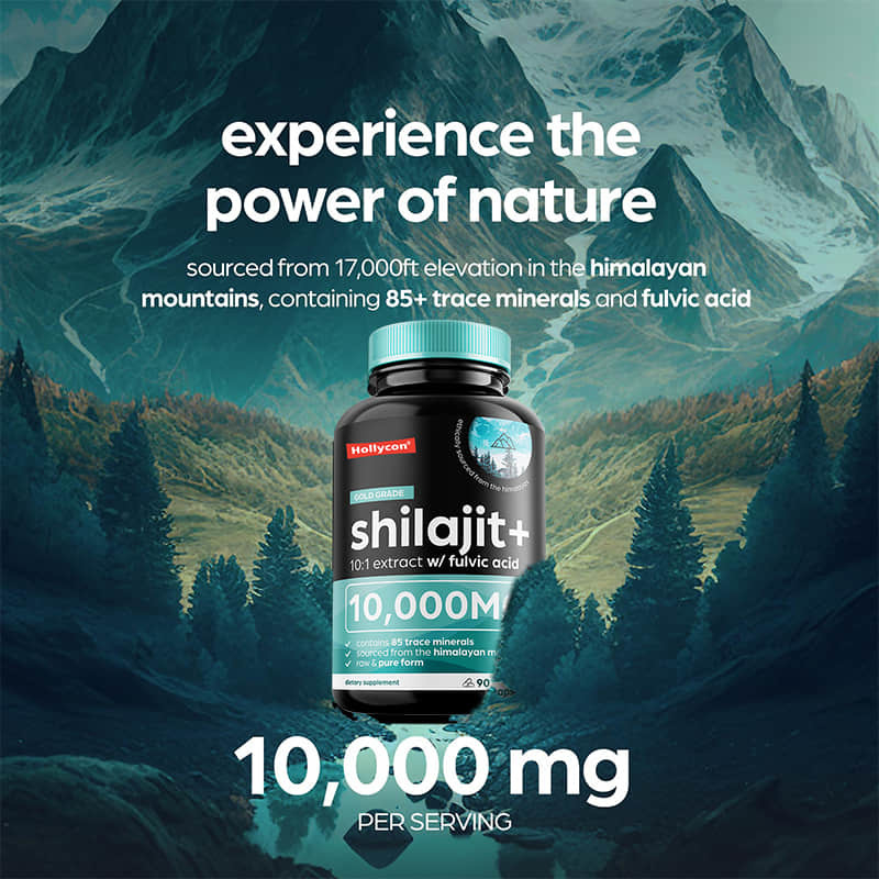 OEM Pure Himalayan Shilajit 10000mg Kapsul Shilajit Organik Untuk Dukungan Kekebalan