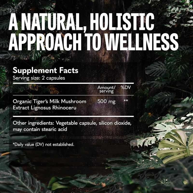 Suplemen Jamur Pertumbuhan Rambut Perut Otak Pencernaan Kesehatan paru-paru Fokus kognitif Pernafasan Tiger Susu Jamur Kapsul