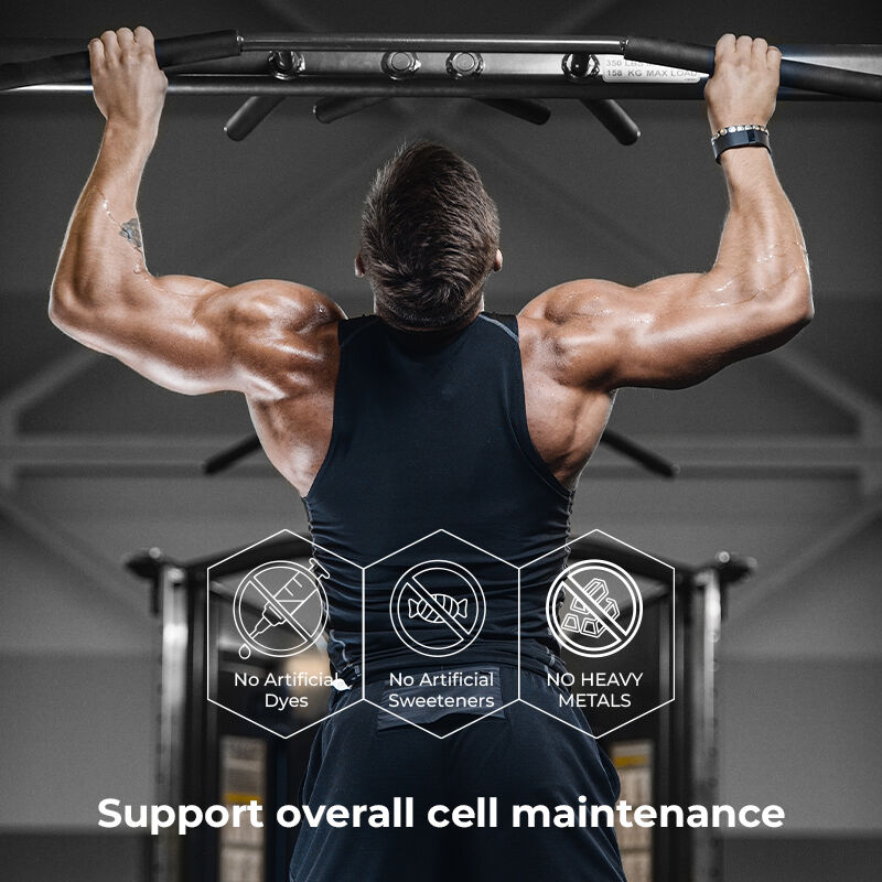 Label Pribadi Shilajit Men's Gummies Asam Fulvic Suplemen Bebas Gula Mempertahankan Tingkat Energi Normal dan Fungsi Kekebalan