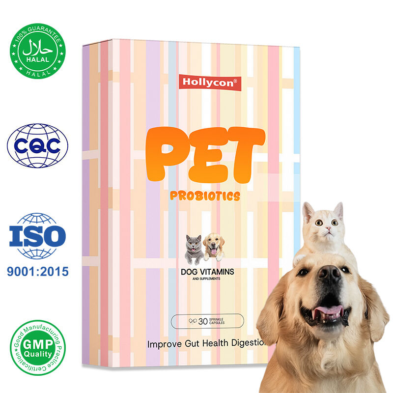 OEM Meningkatkan Kesehatan Permencernaan Anjing Vitamin dan Suplemen Suplemen Kesehatan untuk Kucing dan Anjing Kapsul Probiotik Hewan Peliharaan