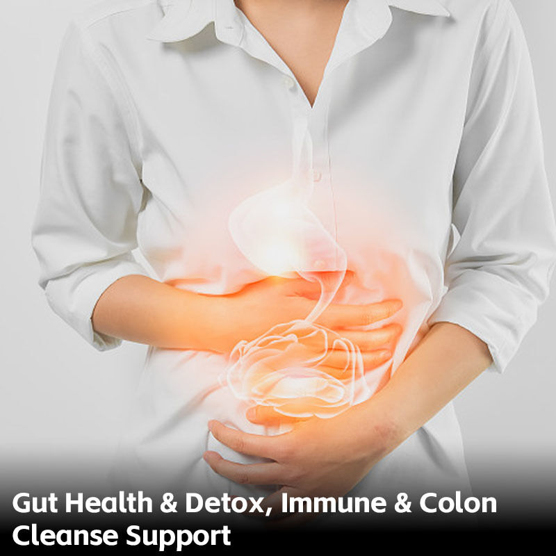 Kapsul L-Ergothioneine Berkualitas Tinggi dengan Antioksidan Alami untuk Dukungan Diet jangka panjang