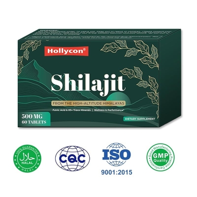 Pabrik Himalaya Shilajit Tablet Manajemen Energi Dukungan Kekebalan Meningkatkan Pencernaan