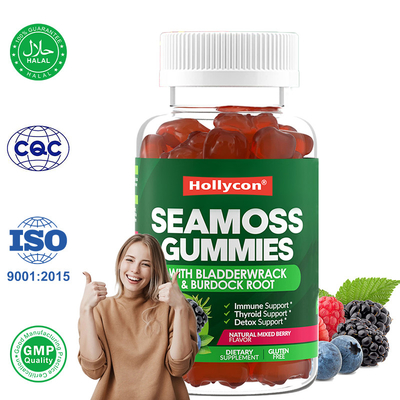 Irish Sea Moss Gummies 1000mg Bladderwrack Sea Moss Gummies Untuk Mendukung Pencernaan